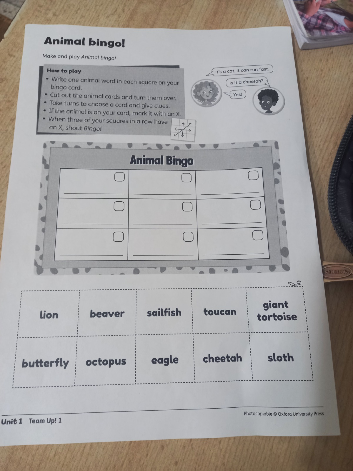 It’s Bingo Time!  